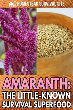 purple flowers in a wooden bowl with the words amaranth on it and an image of