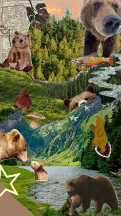 Wildlife Collage Art, Bear Background Aesthetic, Animal Collage Wallpaper, Aesthetic Bear Wallpaper, Granola Aesthetic Wallpaper, Bear Aesthetic Wallpaper, Bear Wallpaper Aesthetic, Inspo Wallpaper, Wildlife Biologist