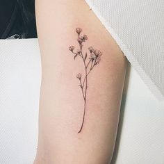 ❁ brielleinmauve ❁ Wildflowers Tattoo, Delicate Flower Tattoo, Simple Flower Tattoo, Petit Tattoo, Beautiful Flower Tattoos, Small Flower Tattoos, Tattoo Girls