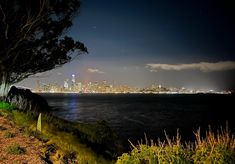 the city skyline is lit up at night from across the water, with trees and bushes in foreground