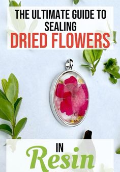 the ultimate guide to selling dried flowers in resin