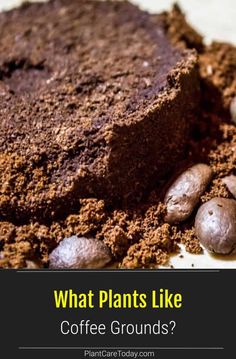 what plants like coffee grounds?