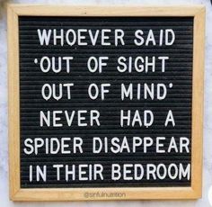 a sign that says whoever said out of sight out of mind never had a spider disappear in their bedroom