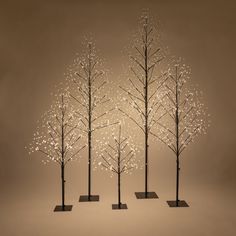 Black Fairy Light Trees