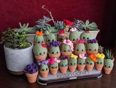 there are many small crocheted cactuses in the pots with flowers on them