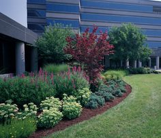 an office building with landscaping in the foreground and flowers on the ground next to it