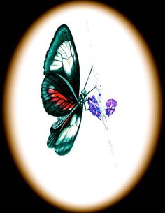 a close up of a butterfly flying in the air with a flower on it's side