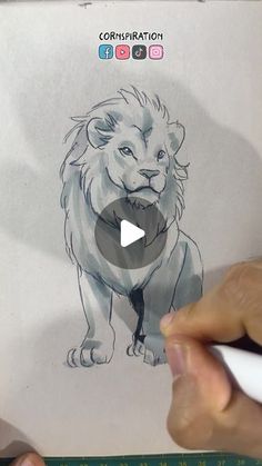 someone is drawing a lion with colored pencils