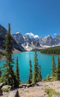 the blue water is surrounded by pine trees