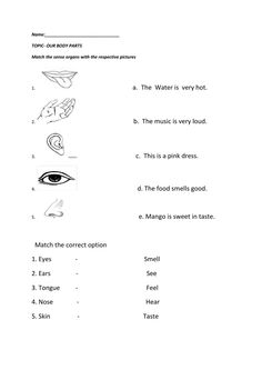 worksheet showing the parts of an eye