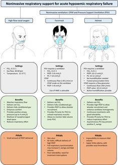 an info sheet describing the different types of facial expressions and their corresponding features for each individual