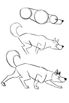 three drawings of dogs with different shapes and sizes