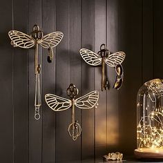 three dragonflys are mounted on the wall next to a glass dome with lights