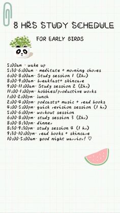 the 8 hour study schedule for early birds is shown in green and white with an image of a panda eating a watermelon