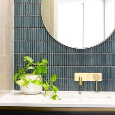 a bathroom sink with a mirror above it and a potted plant on the counter