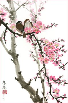 Amazon.com: Love Birds on the Cherry Blossom Tree -- White Background, Giclee Print, Flower Picture of Two Birds Perching on a Branch, 13 X 20 Inches: Watercolor Paintings Aluminum Foil Art, Cherry Blossom Painting, Cherry Blossom Art, Asian Painting, Blossoms Art, Foil Art, Blossom Tree, Cherry Blossom Tree