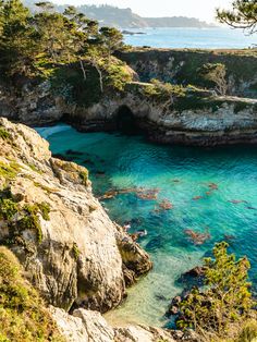 the water is crystal blue and clear