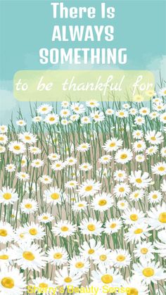 there is always something to be grateful for - happy anniversary card with daisies in the grass