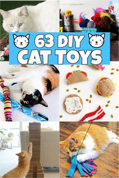 there is a collage of cats and toys on the floor with text overlay that reads, 63 diy cat toys