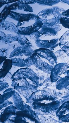 blue and white photograph of leaves in the snow