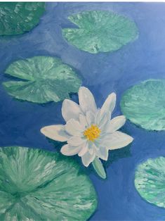 a white flower sitting on top of a green leaf covered waterlily pond filled with lily pads