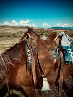 a brown horse with saddle on it's back standing in the middle of a field