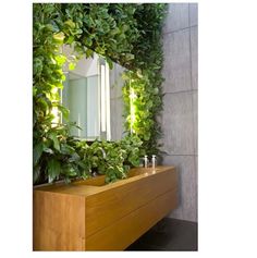 a bathroom with plants on the wall and a mirror in the middle, along with two faucets