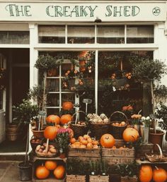 a store front filled with lots of pumpkins