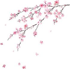 a branch with pink flowers on it against a white background