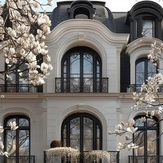 a large white building with lots of windows