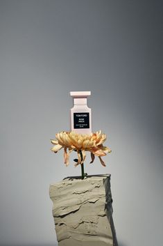 a vase sitting on top of a rock with flowers growing out of it