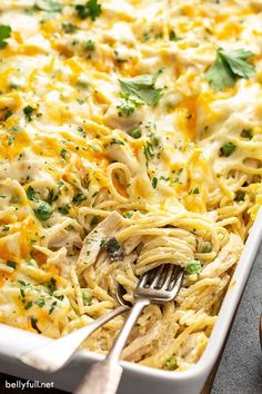 a casserole dish filled with chicken and noodles, garnished with parsley