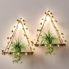 two wooden shelves with plants and lights on them