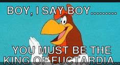 an image of a cartoon bird saying boy, i say boy you must be the king of futuraria