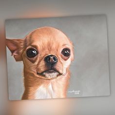 a painting of a chihuahua dog with big eyes