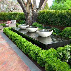 an outdoor garden with plants and water features