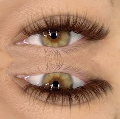 Brown Eyelash Extensions, Natural Fake Eyelashes, Face Beat Makeup, Lashes Fake Eyelashes, Lash Extensions Makeup, Eyelash Extensions Styles, Lash Extensions Styles, Perfect Eyelashes, Pretty Lashes