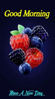 good morning have a nice day card with berries and raspberries on blue background