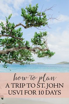 a tree with the words how to plan a trip to st john's usvifor 10 days