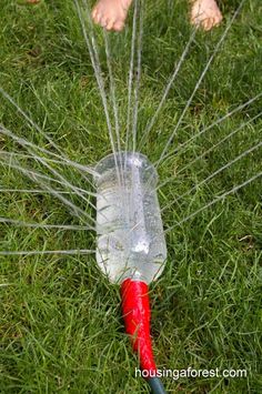 a close up of a red and clear plastic object in the grass