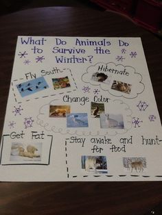 a poster with animals and words on it that says what do animals do to survive the winter?