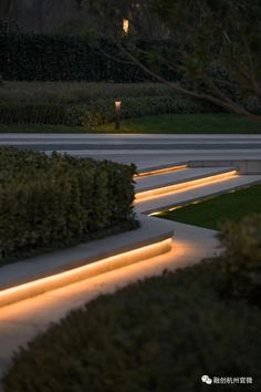 the lights are shining on the concrete steps in the park at night time with trees and bushes behind them