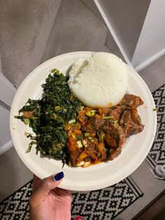 a person holding a plate with meat, rice and greens on it in their hand