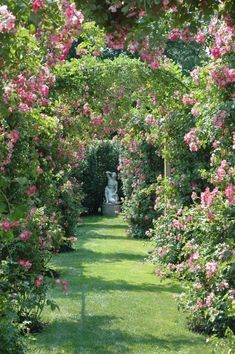 a garden filled with lots of pink flowers and lush green grass next to tall trees