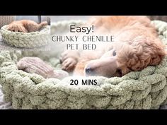 a dog laying in a crochet pet bed