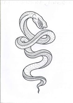 a black and white drawing of a snake