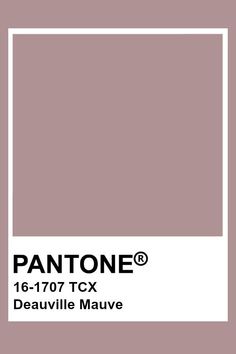 the pantone color is shown in this image, it's light brown and has a