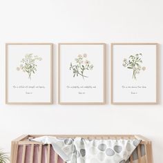 three framed flowers are on the wall above a crib