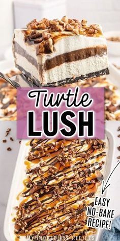 a close up of a slice of cake on a plate with the words turtle lush above it