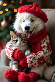 a dog and cat sitting on a couch in front of a christmas tree with their mouths open